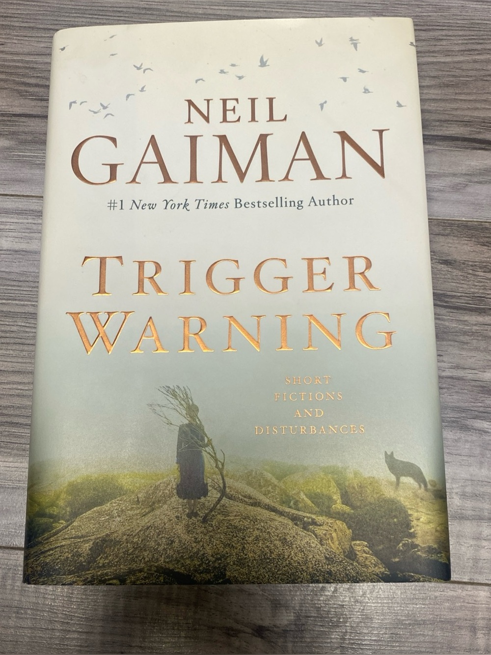 Trigger Warning Short Fictions by Neil Gaiman (2015, HC) 1st Edition Hardcover